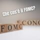 Che cos'è il FOMC?